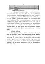 Biznesa plāns 'Tetovēšanas salona biznes plāns', 8.