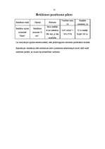 Biznesa plāns 'Tetovēšanas salona biznes plāns', 10.