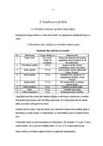 Biznesa plāns 'Tetovēšanas salona biznes plāns', 11.