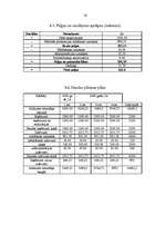 Biznesa plāns 'Tetovēšanas salona biznes plāns', 16.