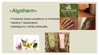 Prezentācija 'Reklāma "Algotherm" produktiem', 4.
