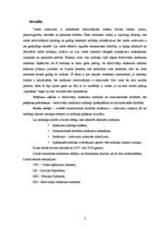 Referāts 'Iedzīvotāju ienākuma nodoklis, veicot saimniecisko darbību', 3.