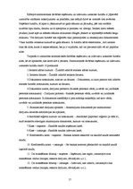 Referāts 'Iedzīvotāju ienākuma nodoklis, veicot saimniecisko darbību', 17.