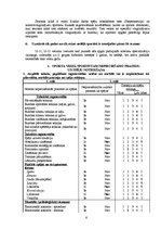 Referāts 'Futbola trenera prakses projekts', 6.