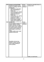 Referāts 'Futbola trenera prakses projekts', 18.