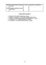 Referāts 'Futbola trenera prakses projekts', 19.