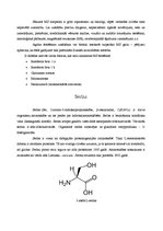 Referāts 'Serīns, treonīns, cisteīns', 6.