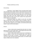 Referāts 'Serīns, treonīns, cisteīns', 10.