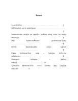 Konspekts 'Brīvā ekonomiskā zona', 2.