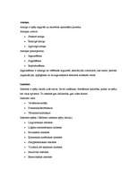 Konspekts 'Pašraksturojums (teorija)', 3.