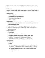 Konspekts 'Pašraksturojums (teorija)', 4.