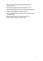 Referāts 'Iedzīvotāju dzīves līmenis, tā raksturojošie rādītāji', 11.