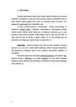 Referāts 'Vizuālā komunikācija', 2.