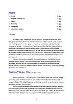 Referāts 'Frīdrihs Vilhelms Nīče. Personība un masas', 2.