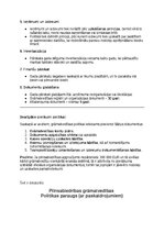 Paraugs 'Grāmatvedības politikas plāns pilnsabiedrībai', 2.