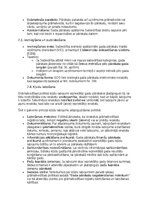 Paraugs 'Grāmatvedības politikas plāns pilnsabiedrībai', 17.