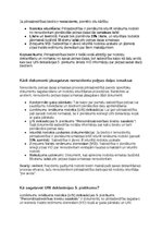 Paraugs 'Grāmatvedības politikas plāns pilnsabiedrībai', 23.
