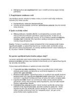 Paraugs 'Grāmatvedības politikas plāns pilnsabiedrībai', 28.