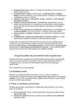 Paraugs 'Grāmatvedības politikas plāns pilnsabiedrībai', 38.