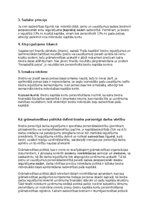 Paraugs 'Grāmatvedības politikas plāns pilnsabiedrībai', 39.