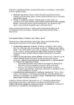 Paraugs 'Grāmatvedības politikas plāns pilnsabiedrībai', 41.