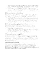 Paraugs 'Grāmatvedības politikas plāns pilnsabiedrībai', 43.