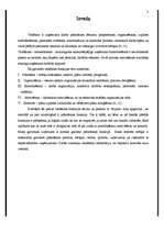 Referāts 'Plānošanas funkcija organizācijā', 3.