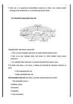 Referāts 'Plānošanas funkcija organizācijā', 5.