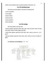 Referāts 'Plānošanas funkcija organizācijā', 12.