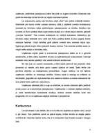 Biznesa plāns 'Biznesa plāns viesu mājai', 4.