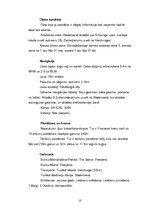 Referāts 'Jūras transports', 10.