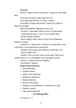 Referāts 'Jūras transports', 13.