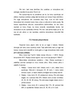 Referāts 'Jūras transports', 41.