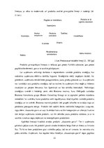 Diplomdarbs 'Produktu politika uzņēmumā SIA "Līvas grupa"', 22.