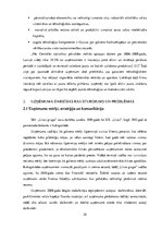 Diplomdarbs 'Produktu politika uzņēmumā SIA "Līvas grupa"', 29.