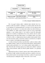 Diplomdarbs 'Produktu politika uzņēmumā SIA "Līvas grupa"', 30.