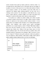 Diplomdarbs 'Produktu politika uzņēmumā SIA "Līvas grupa"', 32.