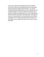 Eseja 'Galvenās tiesību nozares, to pamatuzdevumi un galvenās funkcijas', 6.