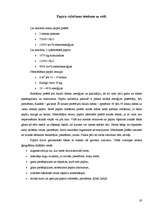 Referāts 'Papīra ražošana un tā dzīves cikls', 19.