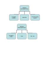 Konspekts 'Attīstības psiholoģija', 2.