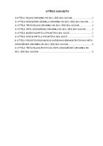 Konspekts 'Uzņēmuma "X" horizontālā un vertikālā analīze', 1.