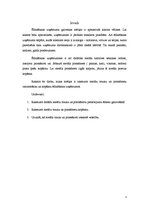 Referāts 'Metālu priekšmetu izmantošana un kopšana sabiedriskās ēdināšanas uzņēmumā', 3.