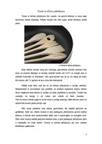 Referāts 'Metālu priekšmetu izmantošana un kopšana sabiedriskās ēdināšanas uzņēmumā', 8.