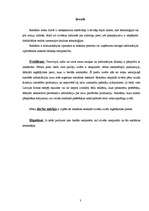 Referāts 'Reklāmas ietekme uz preču izvēli', 3.