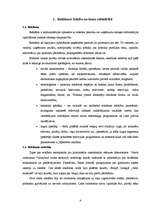 Referāts 'Reklāmas ietekme uz preču izvēli', 4.