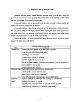 Referāts 'Reklāmas ietekme uz preču izvēli', 6.