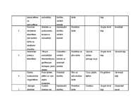 Konspekts 'Darbības plāns dienai pirmsskolā', 2.