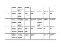 Konspekts 'Darbības plāns dienai pirmsskolā', 3.