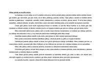 Konspekts 'Darbības plāns dienai pirmsskolā', 6.