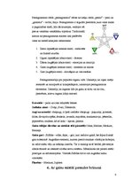 Referāts 'Gaiss tautu mitoloģijā', 9.